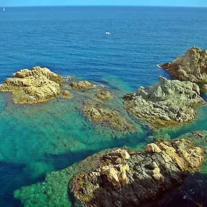 lets-holidays-passeig-del-mar.topcostabravahotels.com/